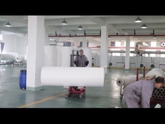 تصفیه گاز دودکش